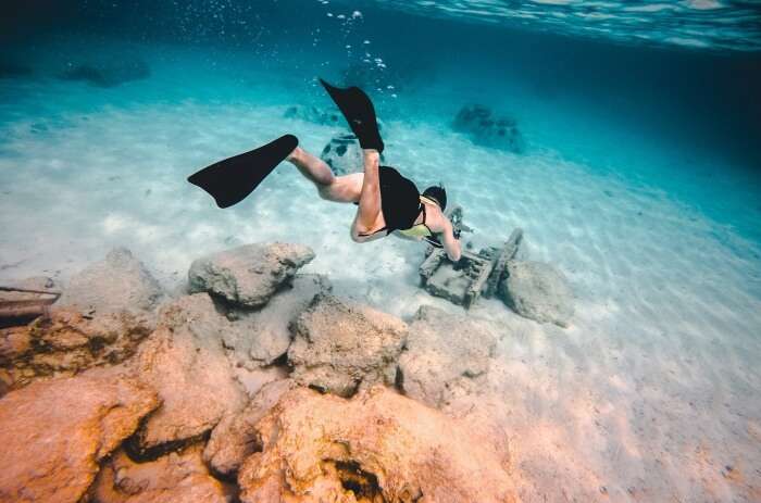 Snorkeling In The Bahamas