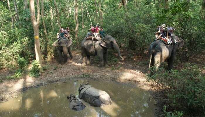 Sonchana Farm and Elephant Sanctuary