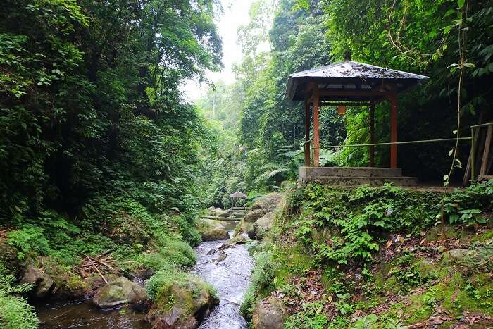 activitiy near Gitgit waterfall