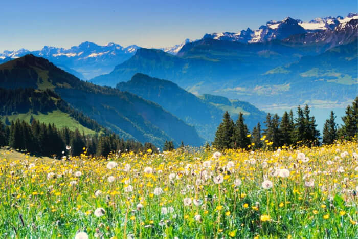 Switzerland is among the places to visit in April
