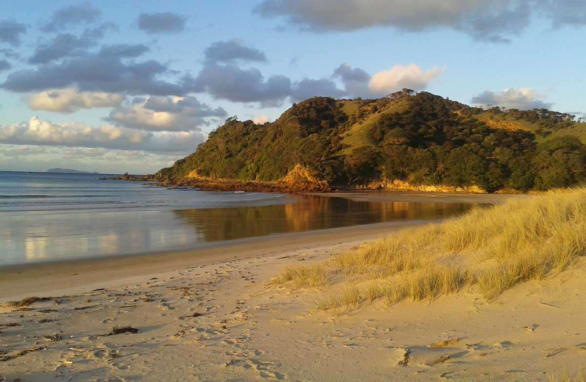 Waikawau Bay