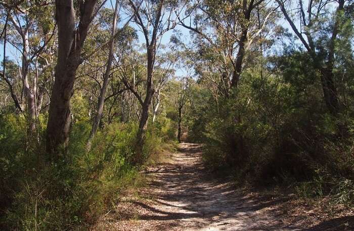 Winifred Green Park