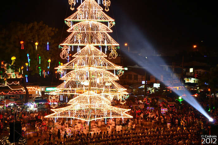 largest Christmas tree in the country