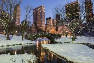 snow covered towers