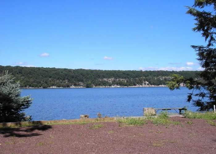 Green pond in new jersey