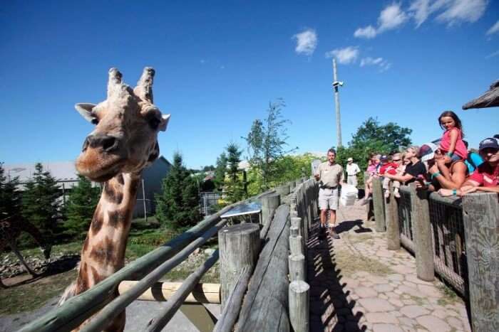 zoo travel canada