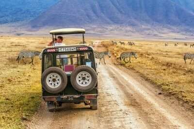 tanzania safari