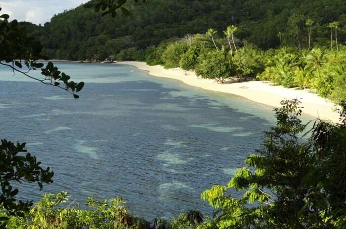 Swim and surf at Ste Anne National Marine Park