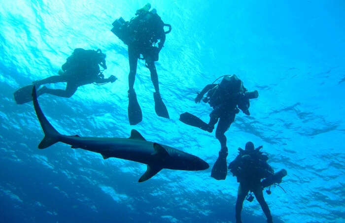 Diving under water