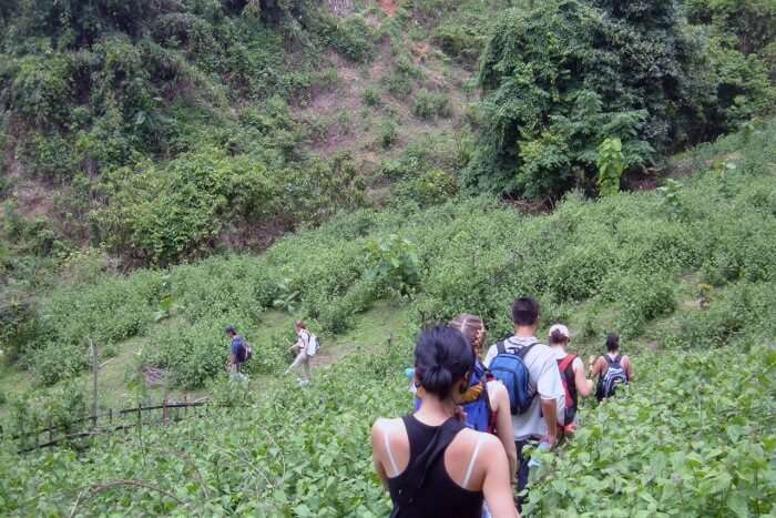 About Hill Tribe Trek