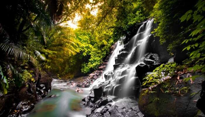 Beautiful Waterfall View