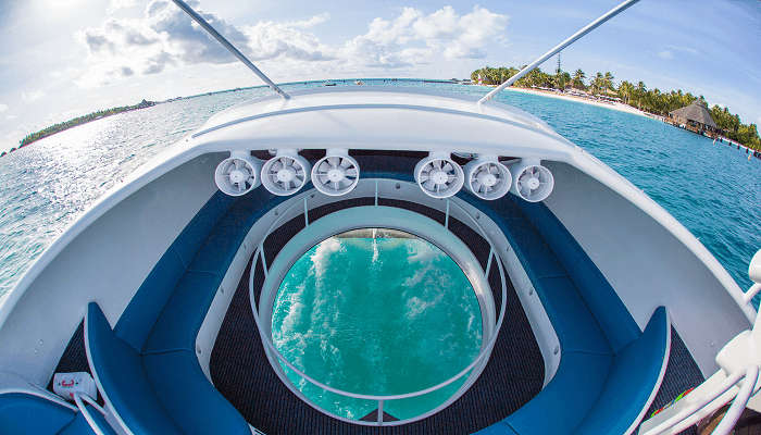 Admire corals through a Glass Bottom Boat