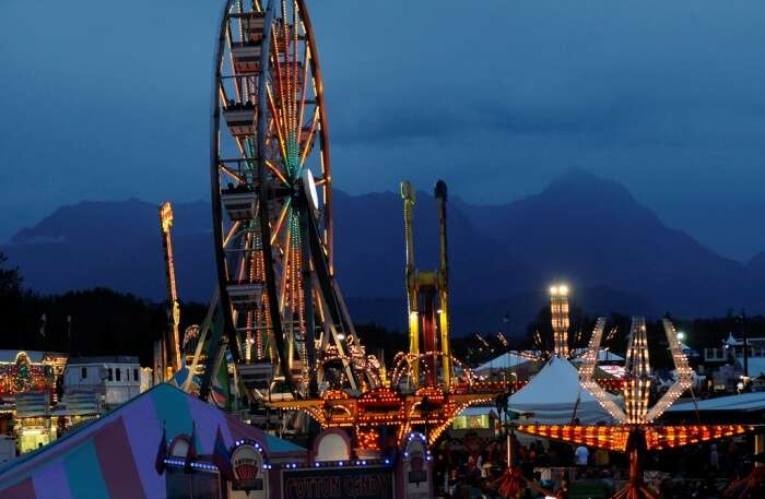 Alaska State Fair 
