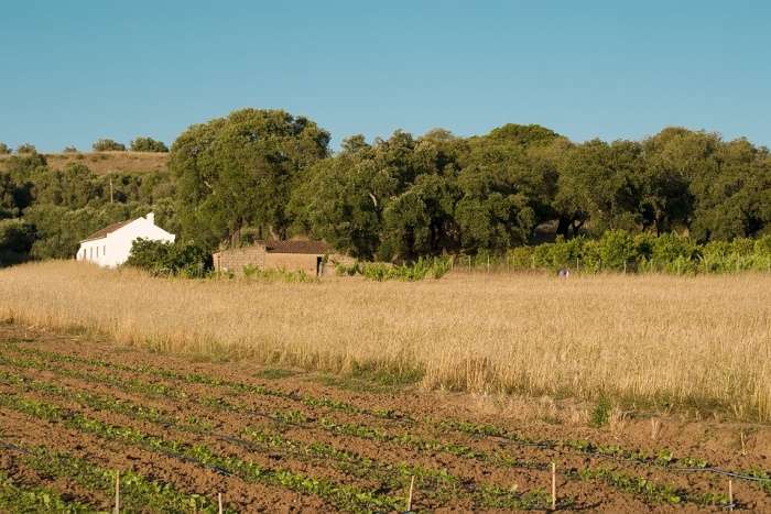 Alentejo