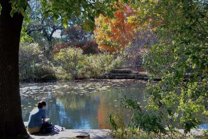 Alfred Caldwell Lily Pool