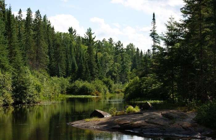 Algonquin Provincial Park