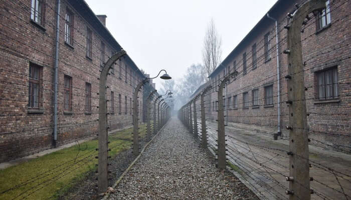 Auschwitz Birkenau Memorial And Museum Tours