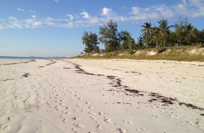 Beach View