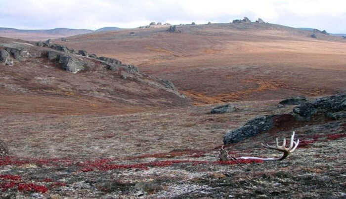 Bering Land Bridge National Park