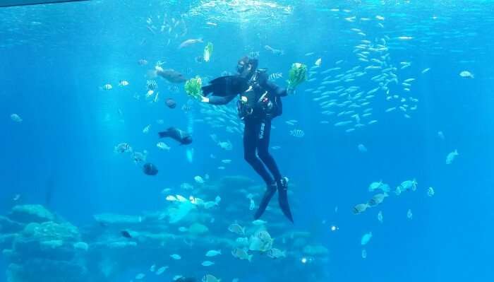 6 Spectacular Spots For Scuba Diving In Langkawi In 2024