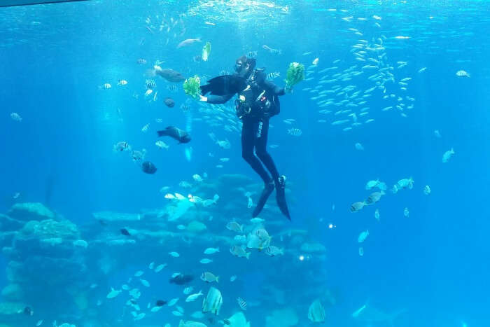 Best Time To Go Scuba Diving In Israel