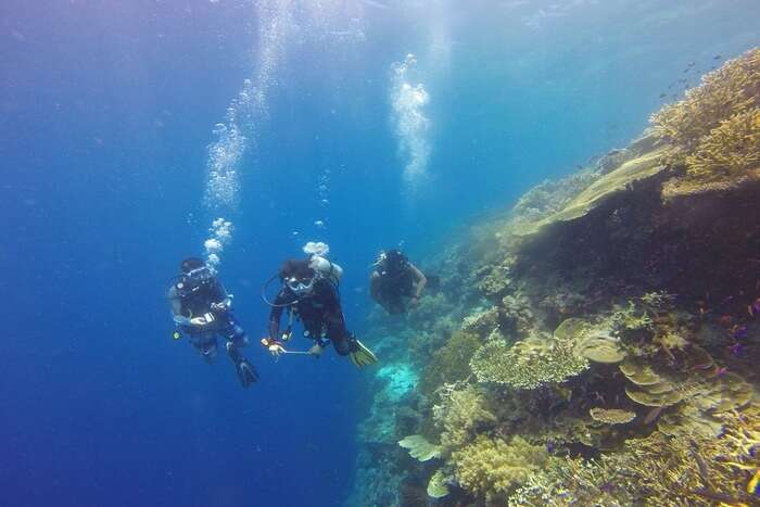 Best Time To Go Scuba Diving