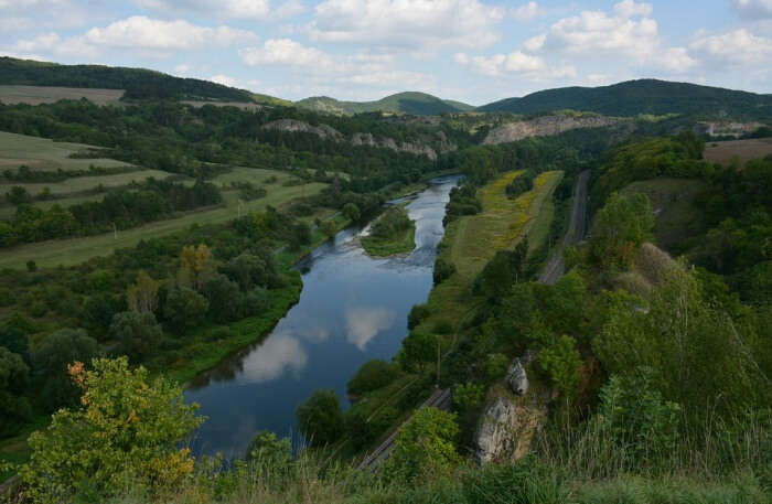 Nature Summer River