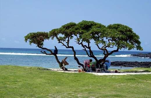 Best Time To Visit La Cambuse Beach