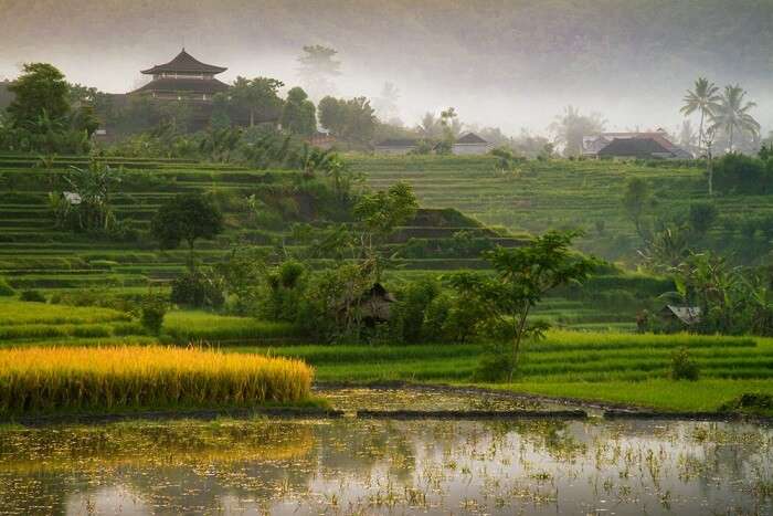 Best Time To Visit Sidemen Valley