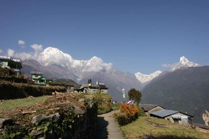Nepal Annapurna Tracking Snow Mountain