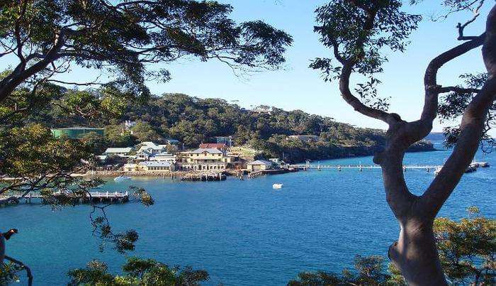 Bradleys Head to Chowder Bay Walk