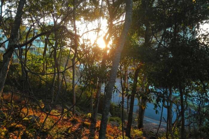 Burleigh Head National Park