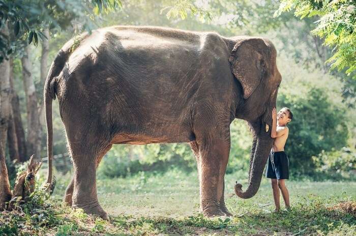 Cambodian Wildlife Sanctuary