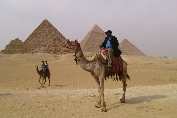 Camel ride around Giza at the twilight