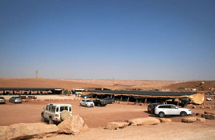 Camping-Along-With-Sightseeing-In-A-Jeep-Safari