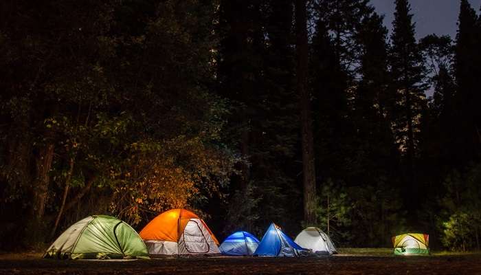 Camping At Sanjay Gandhi National Park