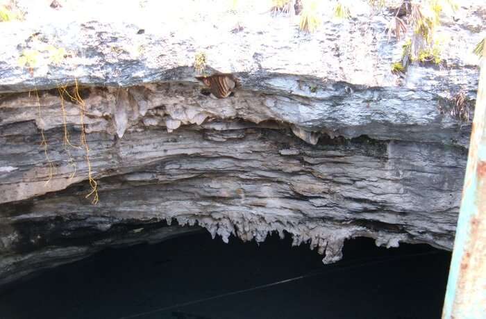 Caving in the Lucayan National Park