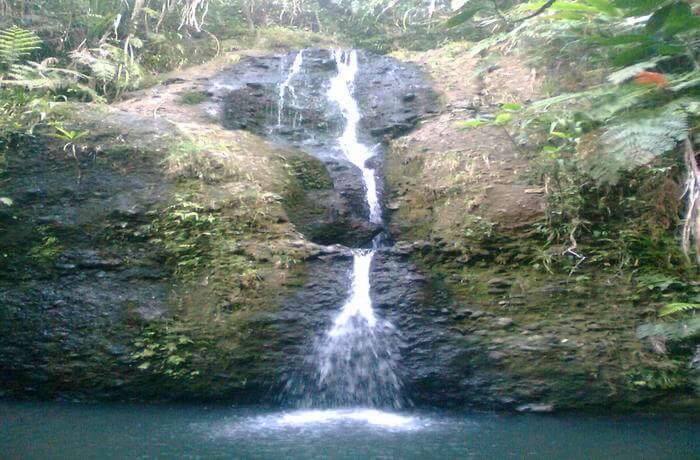 Colo-I-Suva Forest Park