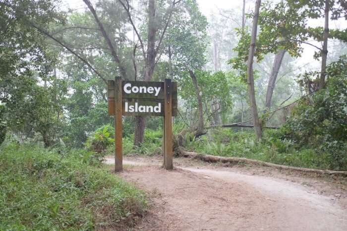 Coney Island Park