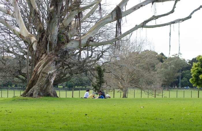 Cornwall Park