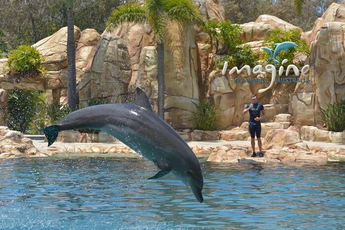 Sea World