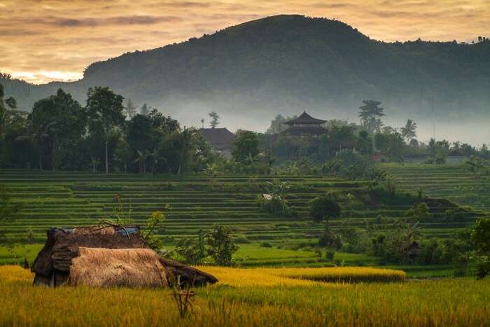 Sidemen Valley In Bali In 2019 Know All About It For Your Holiday