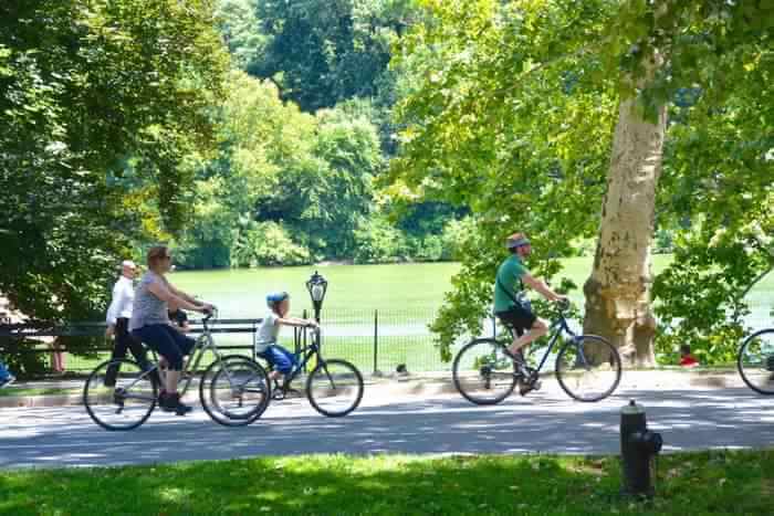 Cycling in Park