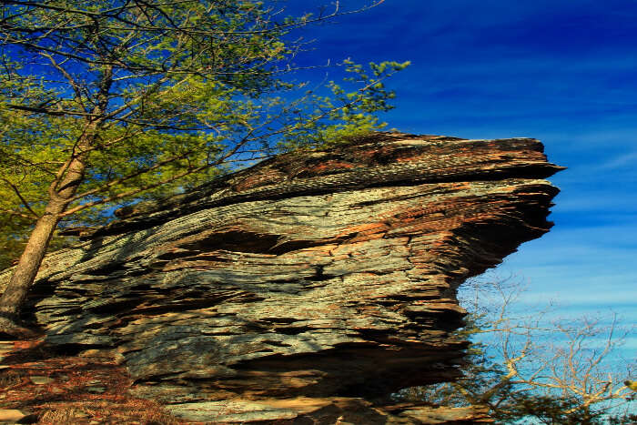 Eagle Rock Hiking Trail Homewood