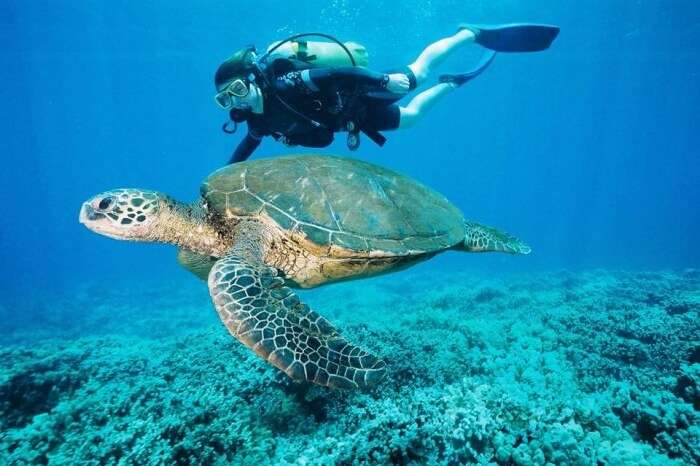Easydivers