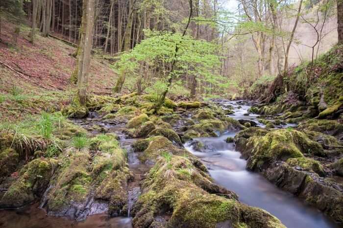 Eifel Nature Park