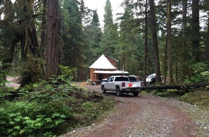 Explore the Great Bear Rainforest