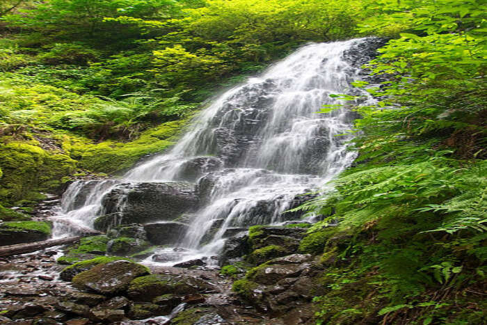 Fairy Falls Trailhead