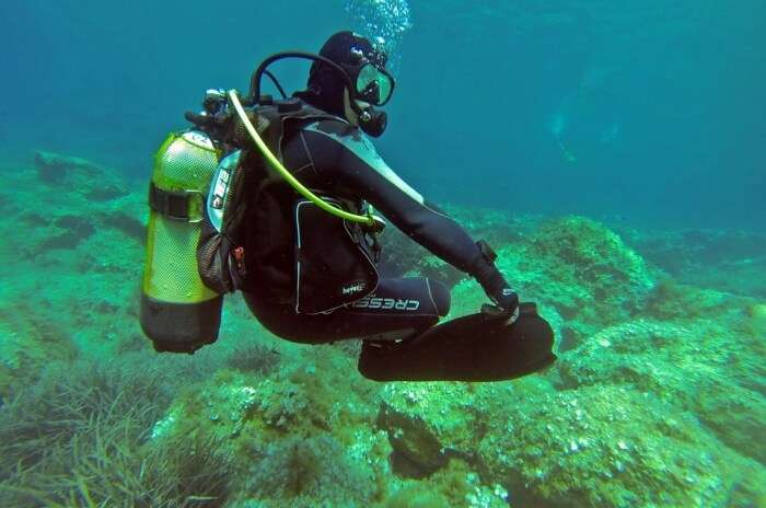 Scuba Diver Water Padi Scuba Diver Underwater Sea