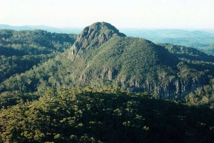 Goonengerry National Park